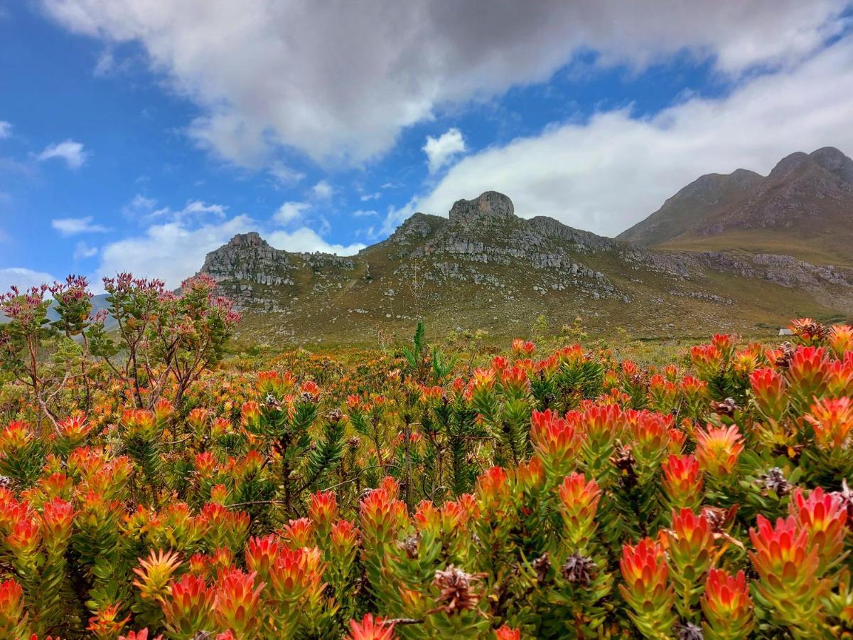 La Mer Seafront Selfcatering Accommodation Kleinmond Eksteriør bilde