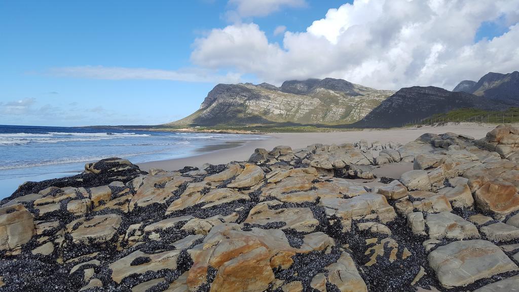 La Mer Seafront Selfcatering Accommodation Kleinmond Eksteriør bilde