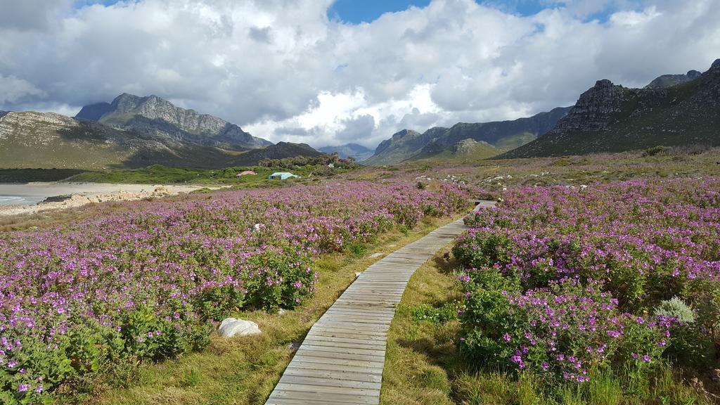 La Mer Seafront Selfcatering Accommodation Kleinmond Eksteriør bilde