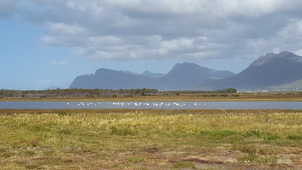 La Mer Seafront Selfcatering Accommodation Kleinmond Eksteriør bilde